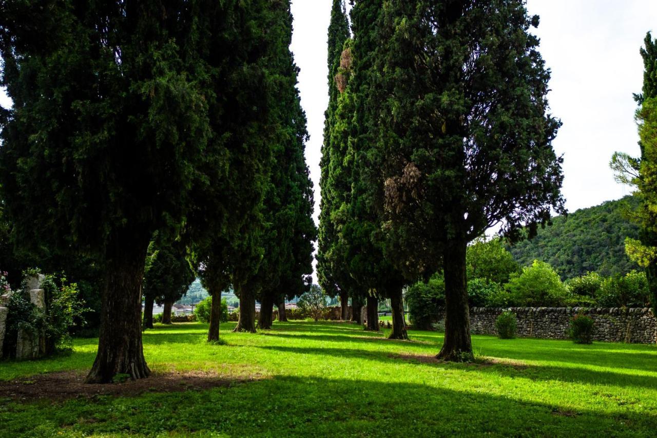 Villa Carrara Salvadori 格雷扎纳 外观 照片